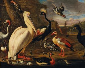 A pelican and other birds by the water by Associate Of Melchior De Hondecoeter Oil Painting