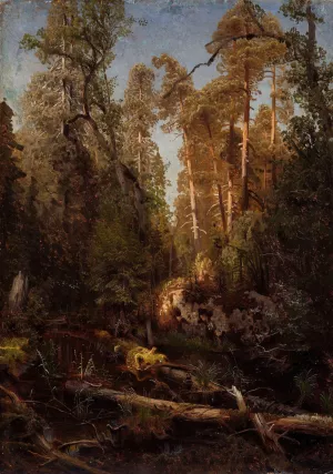 Forest Study by August Cappelen Oil Painting