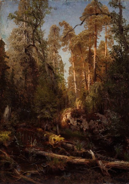 Main Product Photo of Forest Study  Painting by August Cappelen