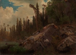 Landscape Study with Trees and Rocks by August Cappelen Oil Painting