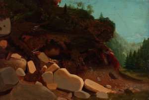 Nature Study with Rocks by August Cappelen Oil Painting