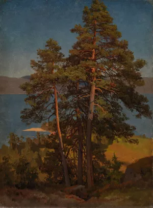 Pinetrees by August Cappelen Oil Painting
