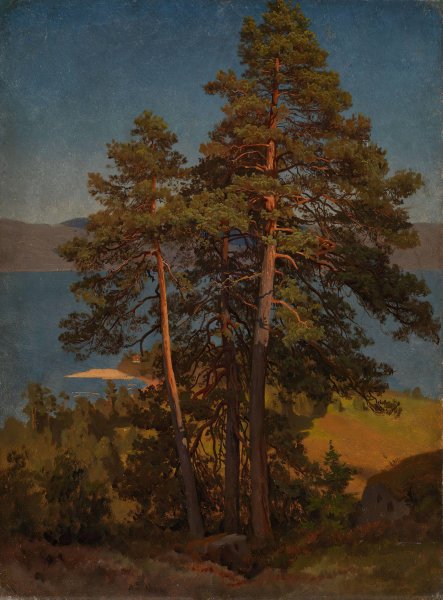 Main Product Photo of Pinetrees  Painting by August Cappelen