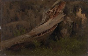 Study of a decaying Trunk by August Cappelen Oil Painting
