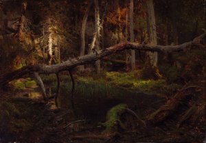 Study of a Decaying Wood by August Cappelen Oil Painting