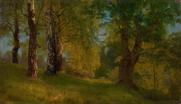 Main Product Photo of Study of a Wood  Painting by August Cappelen