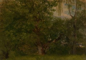 Wood near Ulefoss by August Cappelen Oil Painting
