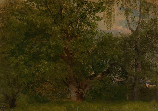Main Product Photo of Wood near Ulefoss  Painting by August Cappelen