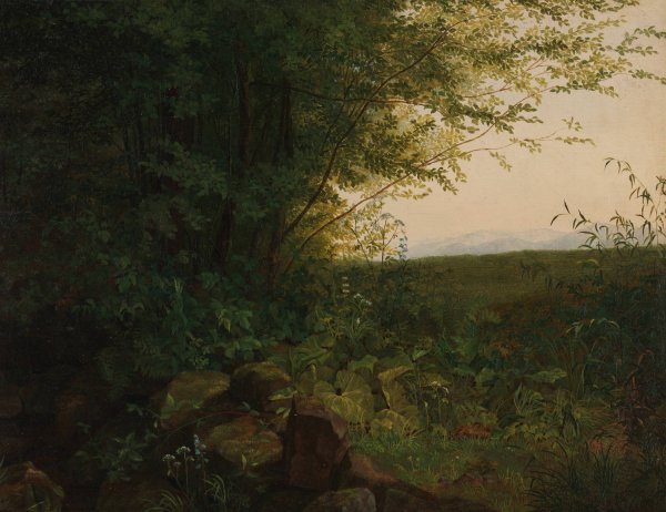 Main Product Photo of At the Edge of the Forest  Painting by August Heinrich