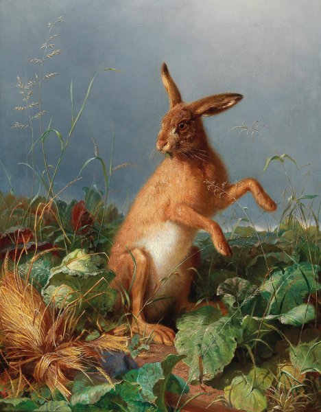 Main Product Photo of A Hare in the Field Painting by August Heyn