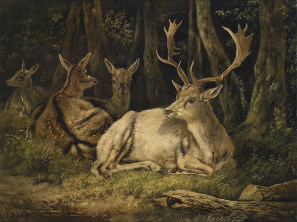 Dammwild by August Schleich - Hand-Painted Oil Painting Reproduction