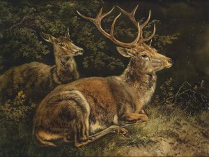 Rotwild by August Schleich Oil Painting