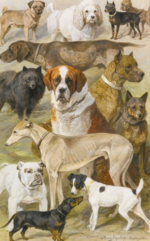 Dog Studies by August Specht Oil Painting