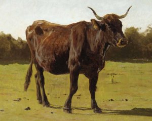 A Cow Grazing In A Meadow by Auguste Bonheur Oil Painting