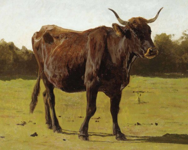 A Cow Grazing In A Meadow by Auguste Bonheur - Hand-Painted Oil Painting Reproduction