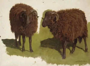 Study Of Black Rams by Auguste Bonheur Oil Painting
