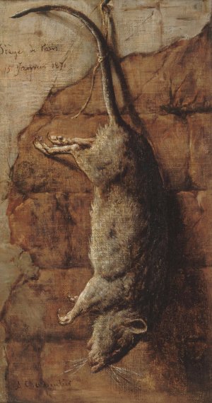 Rat ayant servi a l'alimentation pendant le siege de Paris. by Auguste Charpentier Oil Painting