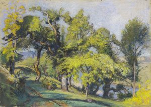Chestnut Trees above a River by Auguste Louis Lepere Oil Painting