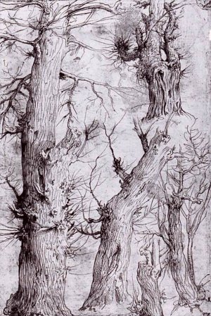 Studies of Trees