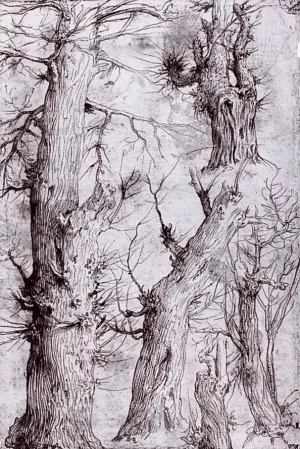 Studies of Trees painting by Aurelio Luini
