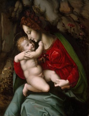 Madonna and Child by Bacchiacca Oil Painting