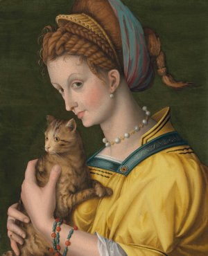 Portrait of a young lady holding a cat by Bacchiacca Oil Painting