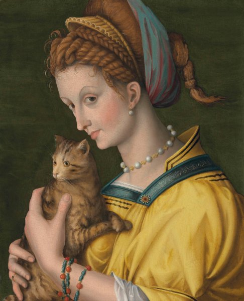 Portrait of a young lady holding a cat  by Bacchiacca - Hand-Painted Oil Painting Reproduction