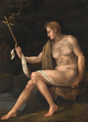 Saint John the Baptist in the Wilderness by Bacchiacca Oil Painting