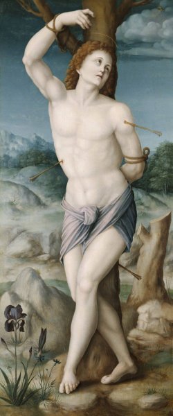 Saint Sebastian by Bacchiacca Oil Painting