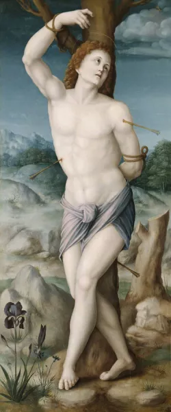 Saint Sebastian by Bacchiacca Oil Painting