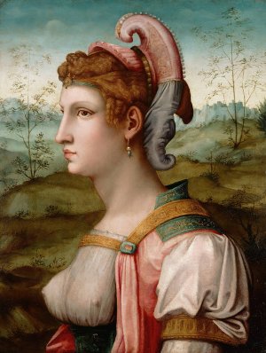 Sibyle by Bacchiacca Oil Painting