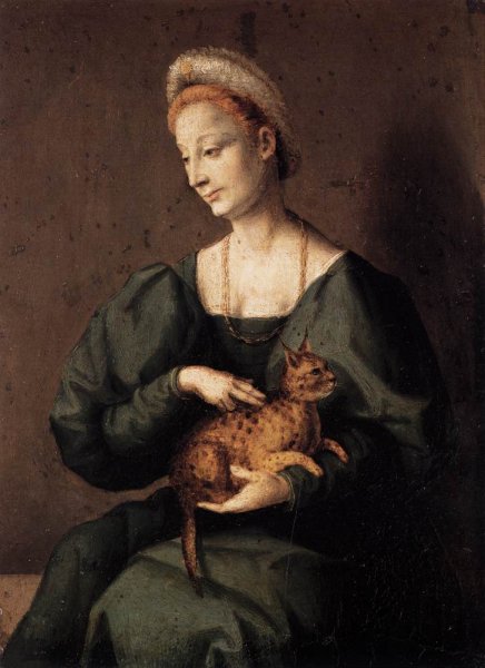 Main Product Photo of Woman with a Cat Painting by Bacchiacca