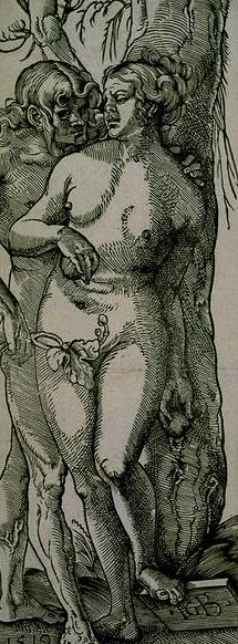 Adam and Eve Fall of Man by Baldung Grien Hans Oil Painting