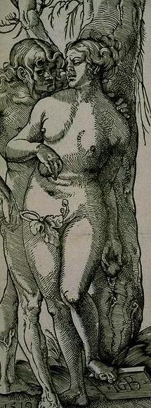 Adam and Eve Fall of Man by Baldung Grien Hans Oil Painting