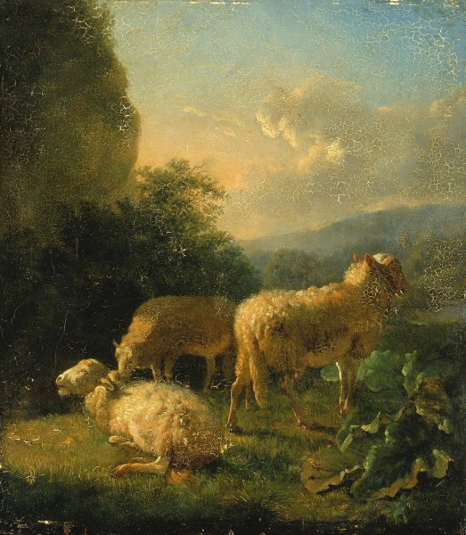 Sheep by Balthasar Paul Ommeganck - Hand-Painted Oil Painting Reproduction