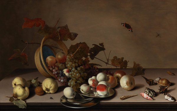 Main Product Photo of A fruit still life with a wicker basket, shells and a butterfly Painting by Balthasar Van Der Ast