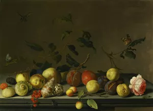 A Still Life Of Fruit And Shells With A Rose And Various Insects Upon A Stone Ledge by Balthasar Van Der Ast Oil Painting