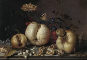 Still Life with Fruit and Shells by Balthasar Van Der Ast Oil Painting