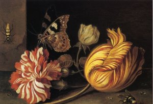 Study of Flowers and Insects