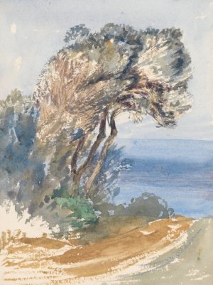 Sketchbook by Barbara Bodichon Oil Painting