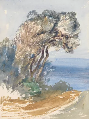 Sketchbook Oil painting by Barbara Bodichon