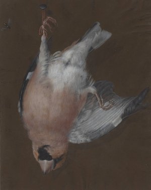 A Rose-Breasted Finch Hanging from a Nail by Barbara Dietzsch Oil Painting