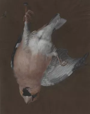 A Rose-Breasted Finch Hanging from a Nail by Barbara Dietzsch Oil Painting