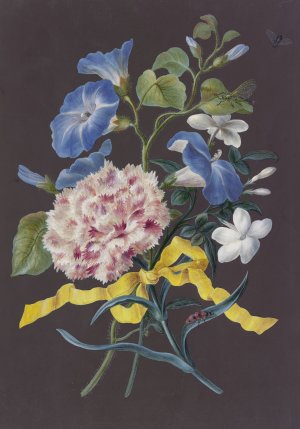 Blumengebinde Mit Rosa Nelke by Barbara Regina Dietzsch Oil Painting