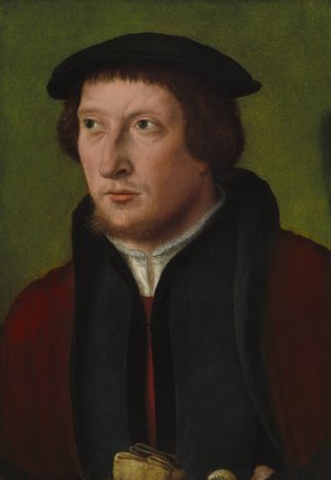 Portrait of a Man by Barthel Bruyn The Elder Oil Painting