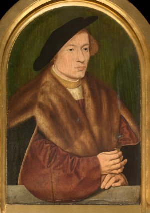 Portrait of a Young Man by Barthel Bruyn The Elder Oil Painting