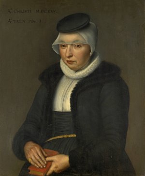 Portrait of Dorothea Wasserhuhn, Wife of Peter Ryff by Bartholomaus Sarburgh Oil Painting