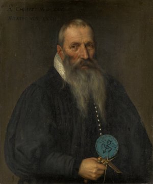 Portrait of Peter Ryff of Basel by Bartholomaus Sarburgh Oil Painting