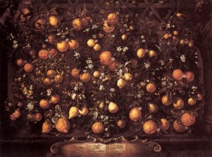 Citrus by Bartolomeo Bimbi Oil Painting