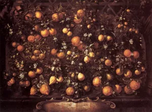 Citrus Oil painting by Bartolomeo Bimbi